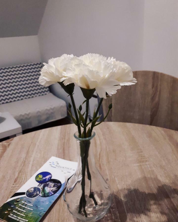 Apartman Lena Tusilovic Εξωτερικό φωτογραφία