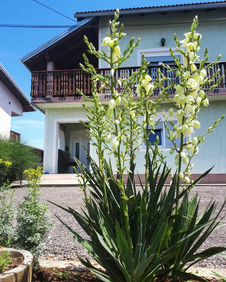 Apartman Lena Tusilovic Εξωτερικό φωτογραφία